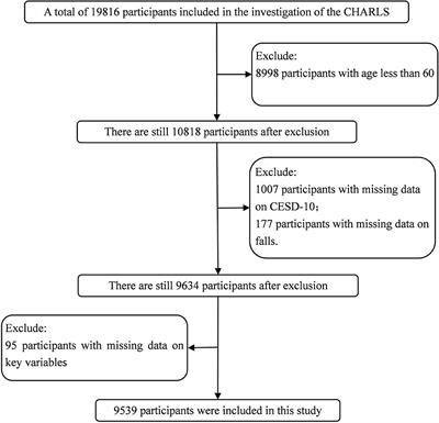 The association between falls and depressive symptoms among older adults: evidence from the China Health and Retirement Longitudinal Study